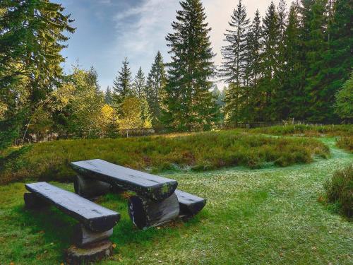 a picnic table and bench in a field with trees at Holiday Home Jelení kout by Interhome in Smržovka
