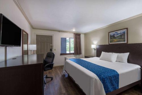 Pokój hotelowy z łóżkiem, biurkiem i telewizorem w obiekcie Travelodge by Wyndham Livingston w mieście Livingston