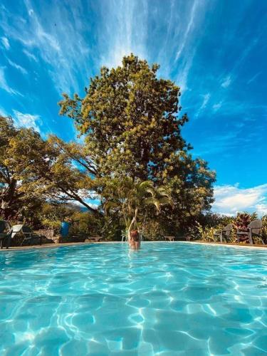 a person in the water in a pool with a tree at Casa Vitall in Líbano