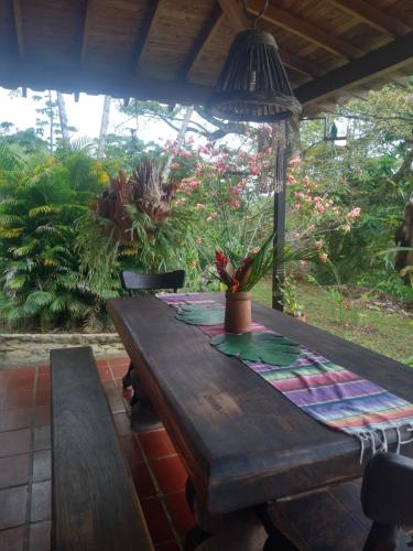 a wooden picnic table with a potted plant on it at Casa Vitall in Líbano