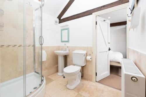 La salle de bains est pourvue de toilettes, d'un lavabo et d'une douche. dans l'établissement Aggie's Cottage at Higher Mullacott, à Ilfracombe