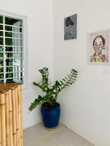 a plant in a blue vase in a room at A L Y S S A Seaside Muine in Mui Ne