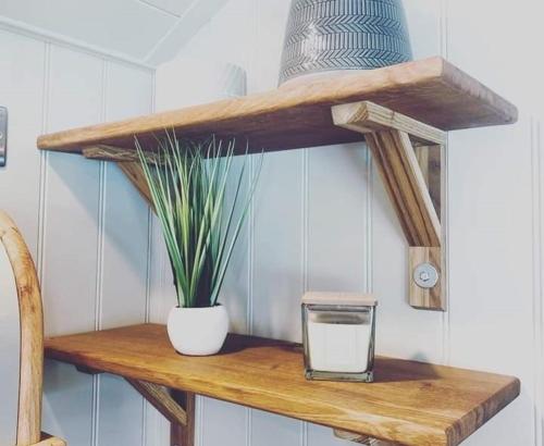 a shelf with a plant and a vase on it at Woodpecker Shepherds Hut in Boston
