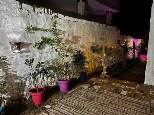 a group of potted plants on a wall at Haven Hideaway - Biet Moussa - بيت موسي in Dahab