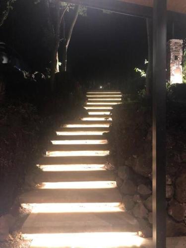 a set of stairs in a garden at night at Casa sobre el río in Posadas