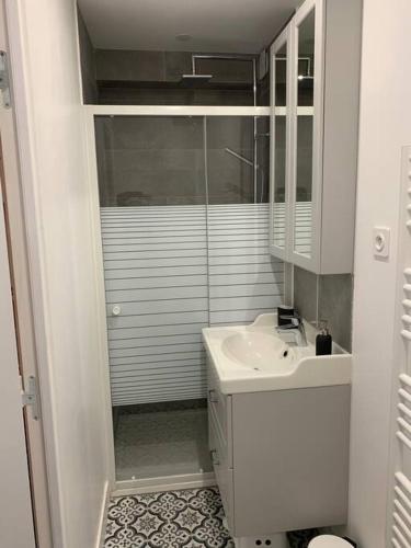 une salle de bain blanche avec un lavabo et un miroir dans l'établissement Petite maison de charme à 10 minutes de Disney !, à Montévrain