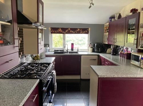 布萊克伍德的住宿－Butterfly House，厨房配有紫色橱柜和炉灶烤箱