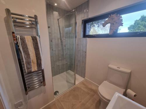 a bathroom with a shower and a toilet and a television at Rudgleigh Lodge by Cliftonvalley Apartments in Bristol