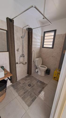 un baño con ducha y WC en La Kay Fyfy, en Saint-Pierre
