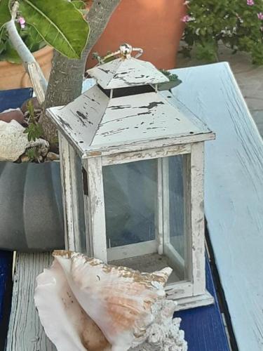 a birdhouse sitting on a table next to a plant at YOUR FIRST DAY Hotel on Aruba in Oranjestad