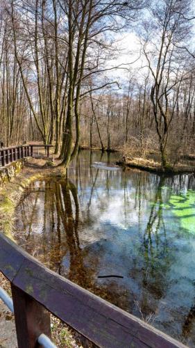 a body of water with trees and a fence at EUROPA22 Apartament RELAKS z JACUZZI w samym sercu miasta Prestiżowe osiedle z widokiem na park i staw z fontannami Szybkie i Łatwe Zameldowanie in Tomaszów Mazowiecki