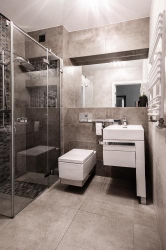 a bathroom with a shower and a toilet and a sink at Apartament przy bulwarach w Straconce in Bielsko-Biała