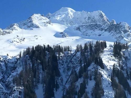 a snow covered mountain with trees in the foreground at Happy Moose - Cosy Mont Blanc View apartment in Chamonix-Mont-Blanc