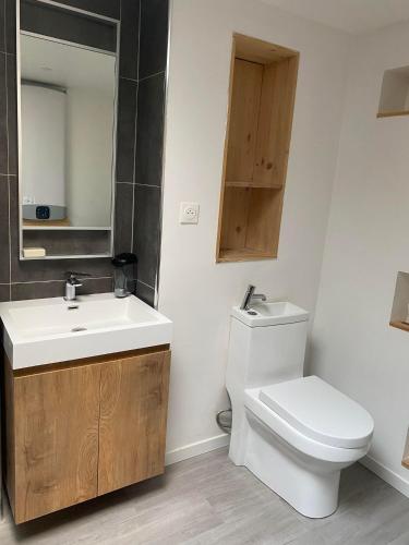 une salle de bain avec toilettes, lavabo et miroir dans l'établissement Studio rez-de-chaussée, à Boulogne-sur-Mer