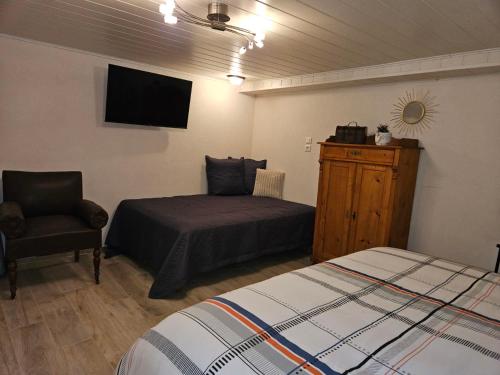 a bedroom with a bed and a chair and a television at Le repos des escargots - Appartement classé 1 à 6 personnes avec jardin ombragé et aménagé in Haguenau