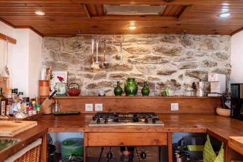 - une cuisine avec un mur en pierre et une cuisinière dans l'établissement Villa la Finca, à Montferrer