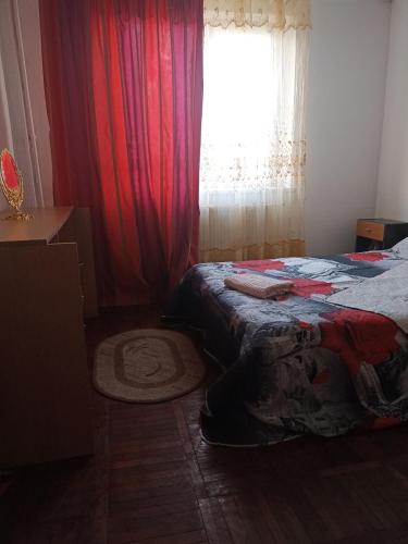 een slaapkamer met een bed en een raam bij Camere in regim hotelier in Calafat