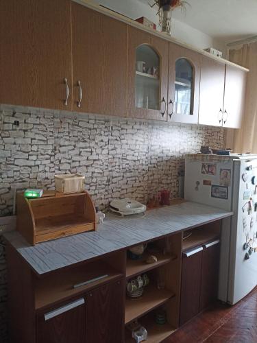 een keuken met een aanrecht en een witte koelkast bij Camere in regim hotelier in Calafat