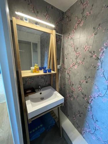 une salle de bain avec un lavabo et un miroir dans l'établissement La Rochelle Rdc de maison proche Ile de Ré, à La Rochelle