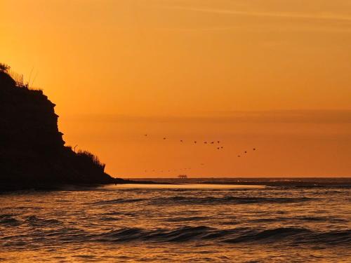 a group of birds flying over the ocean at sunset at Casa Norte North Beach in Los Órganos