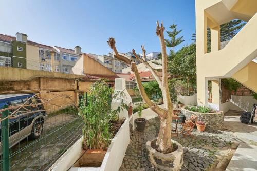 Downtown Garden House