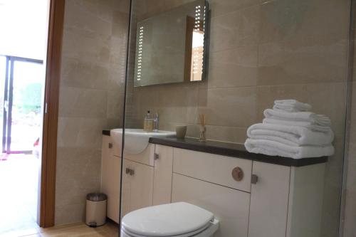 a bathroom with a toilet and a sink and a mirror at Brackness House Luxury B&B in Anstruther