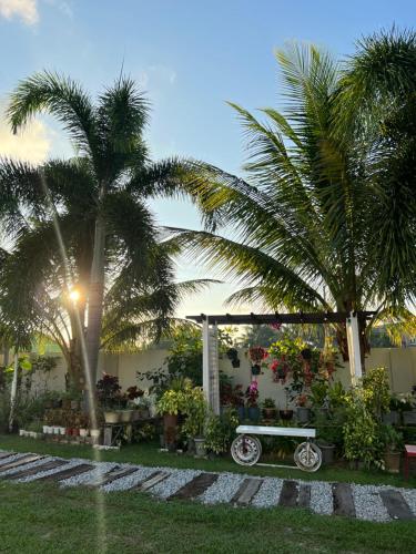 - une table de pique-nique et des palmiers dans le jardin dans l'établissement Tok Abah Cottage, à Kota Bharu