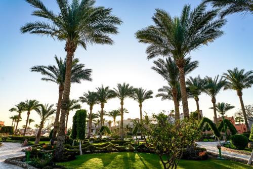 Gallery image of Sentido Akassia Beach in Quseir