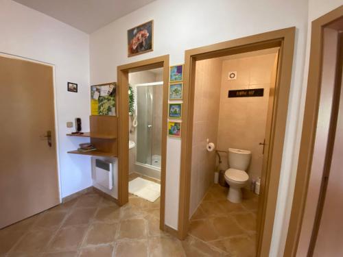 a bathroom with a toilet and a sink at Apartmány Tatran Donovaly in Donovaly