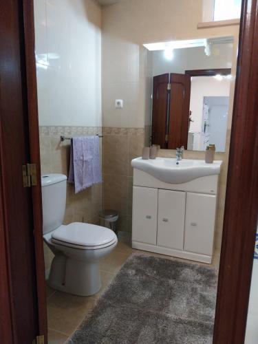 ein Bad mit einem WC und einem Waschbecken in der Unterkunft Casa Branca Pinhal in Nazaré