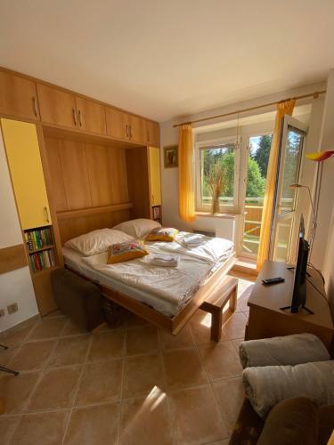 Кровать или кровати в номере Apartmány Tatran Donovaly
