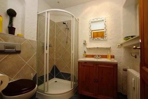 a bathroom with a shower and a toilet and a sink at Ferienwohnung Mattejiet in Sankt Andreasberg