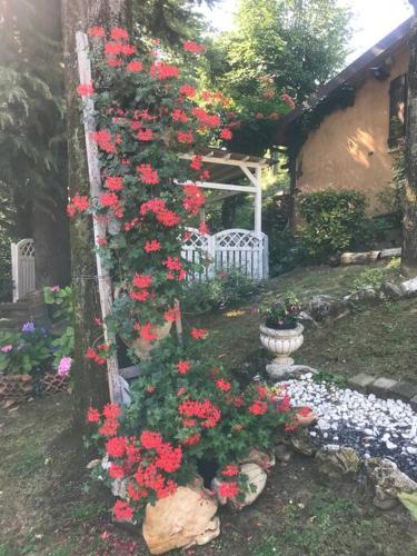 Taman di luar Villa I Parioli