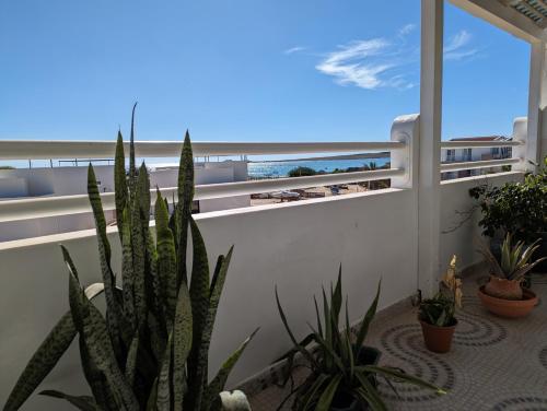 a room with a view of the ocean from a balcony at Tropical Leaves Sea view penthouse in Sal Rei