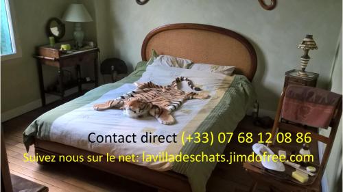 un chien couchant sur un lit avec des tigres dessus dans l'établissement la villa des chats, à Andrésy