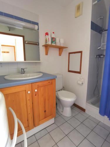 une salle de bain avec un lavabo et des toilettes dans l'établissement Duplex Les 2 Alpes avec accès direct aux pistes, à Les Deux Alpes