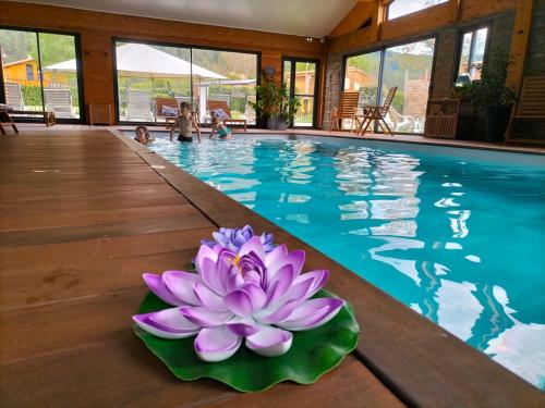 una flor de loto púrpura en el borde de una piscina en Les Chalets du Lac Belcaire en Belcaire