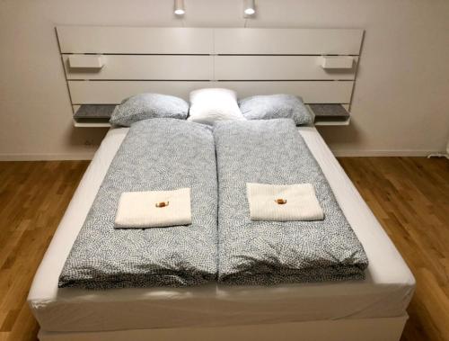 a bed with two pillows on it in a room at Old Town Apartments in Bern