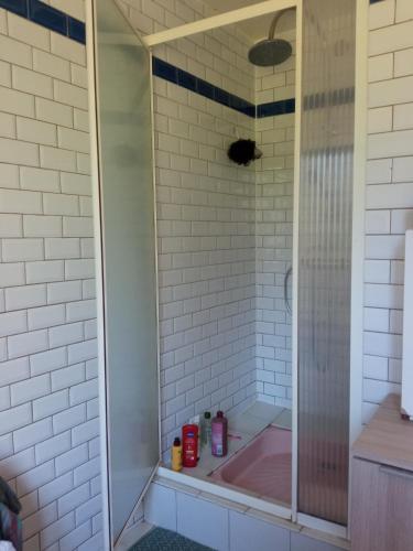 W łazience znajduje się prysznic z różową wanną. w obiekcie Chambre spacieuse et zen 