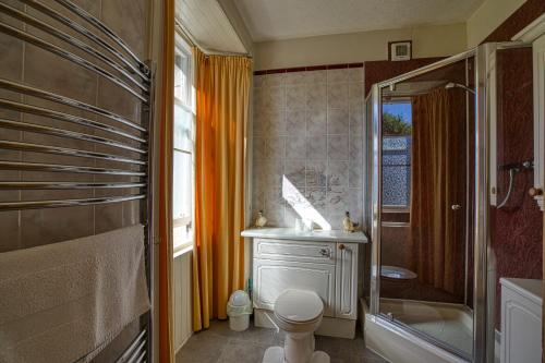 a bathroom with a toilet and a shower and a sink at Woodlands Bed and Breakfast in Dornoch
