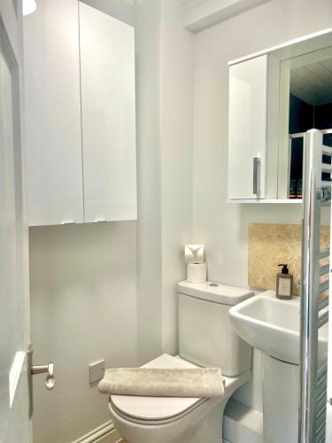 a white bathroom with a toilet and a sink at Modern Cotswold Home w Hot Tub in South Cerney