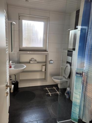 a bathroom with a sink and a toilet and a window at Schöne einfache Ferienwohnung zwischen Stadt und Meer in Wilhelmshaven