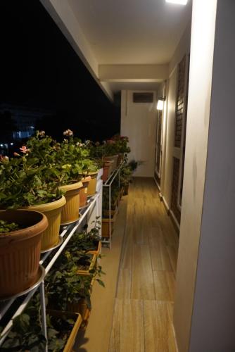 a corridor with potted plants on shelves in a building at Dorsen Homestay in Shillong
