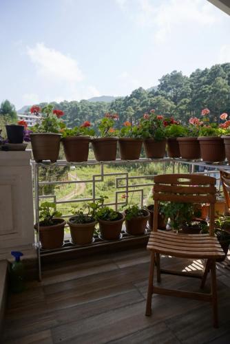 a balcony with a bunch of potted plants on a ledge at Dorsen Homestay in Shillong