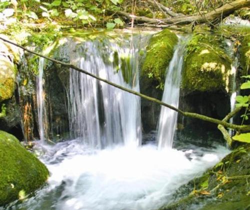 a stream of water rushing over rocks in a forest at Casa Pepa in Algar