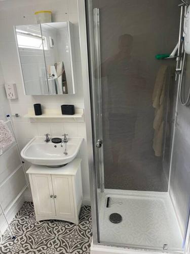 a bathroom with a shower and a sink at DRIFTWOOD LODGE please note the facilities at the holiday park are seasonal March to November in Bideford