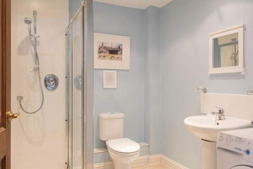 a bathroom with a shower and a toilet and a sink at Seaside Retreat with Stunning Sea Views in Talland