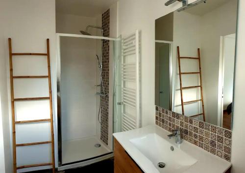 a bathroom with a sink and a shower and a mirror at Le JV 1 cayeux sur mer baie de somme 100m plage in Cayeux-sur-Mer