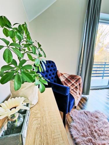 a living room with a table and a plant at Dom nad jeziorem WIDOKówka in Żywiec