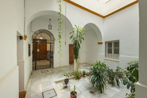 Juan de la Encina Central Suite